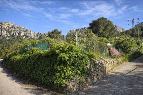 Tomt i Benimeli, Alicante, Benimeli - € 83 000 | Ref: PNPT297 - foto 39